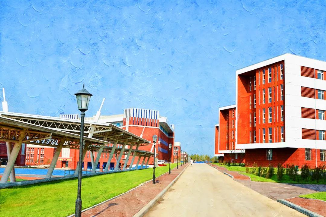 探寻黑龙江,东北的璀璨明珠之旅