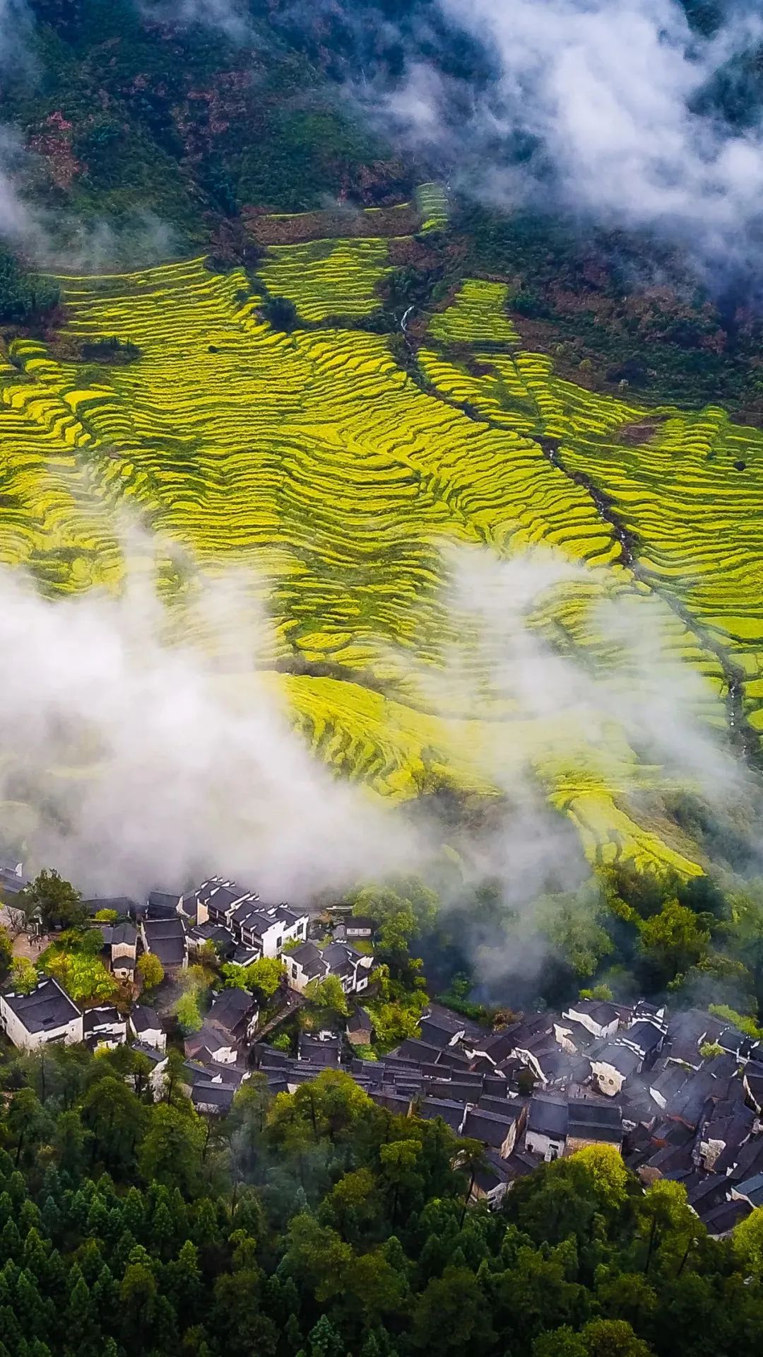 江西深度游攻略,打造一次难忘的江西之旅