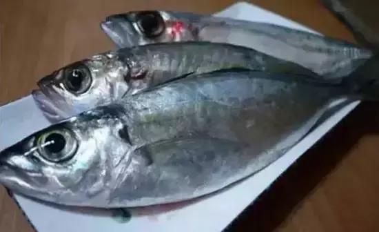 碧海蓝天，海南生态天堂画卷