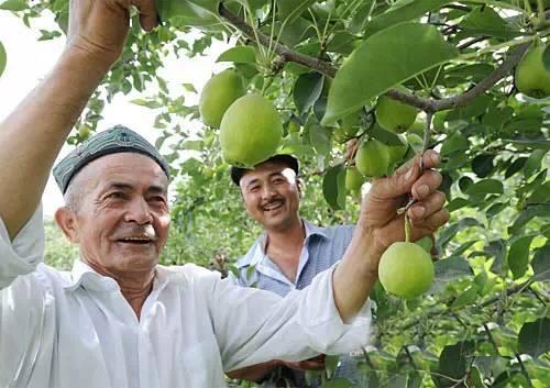 新疆之旅，寻找内心平静的旅程