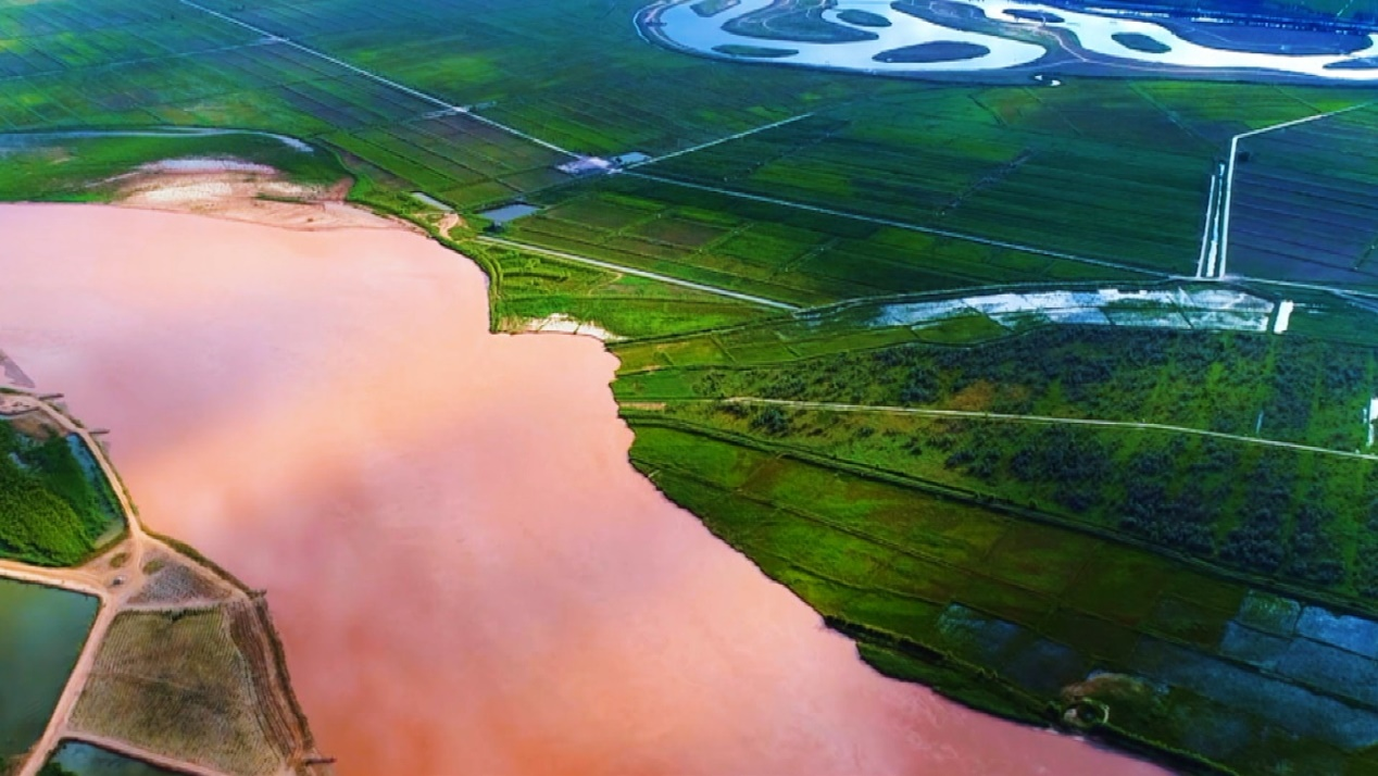 宁夏深巷中的时光秘境，探寻隐匿的特色小店